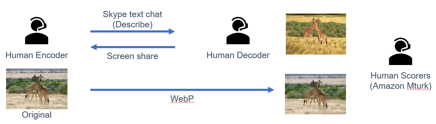 Human Compression System